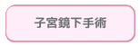 子宮鏡下手術